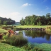 <h2>2023 June Irish Links Golf Cruise</h2>11 Nights | 3-6 Rounds | Dublin - Southampton | June 13 - 24