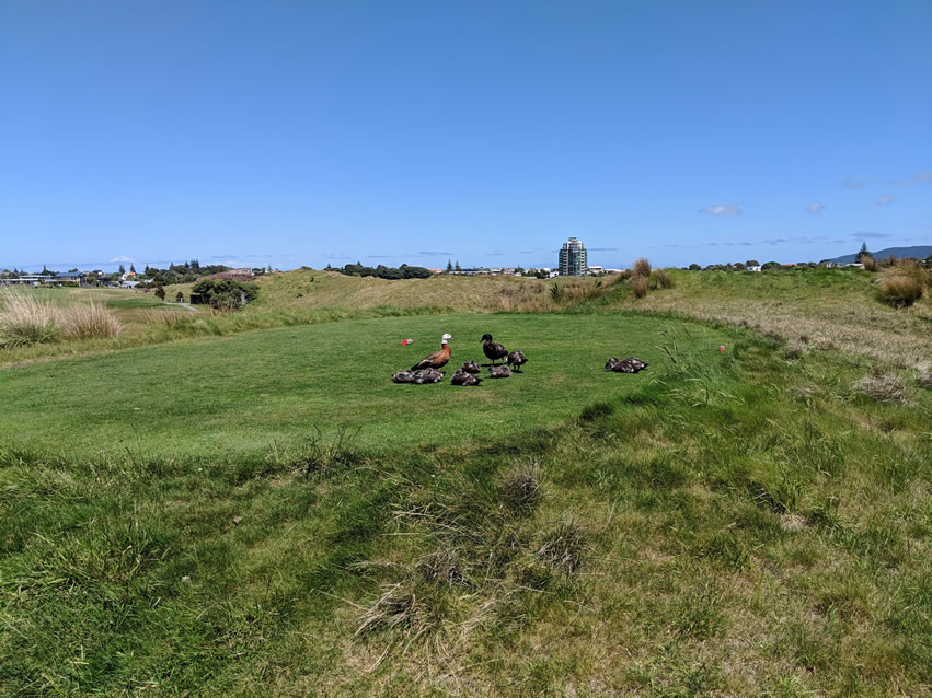 <h2>The Best of New Zealand Escorted 2018</h2>Taupo, Napier, Wellington & Queenstown