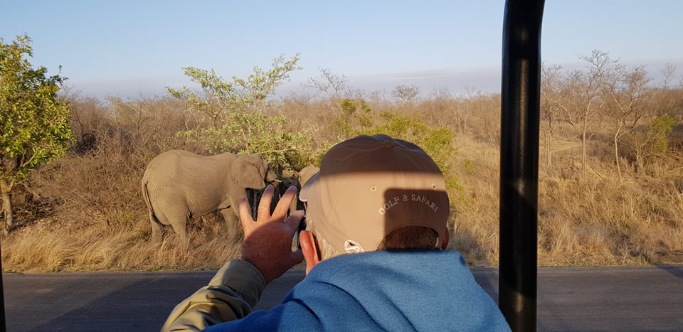 <h2>The Best of South Africa Escorted 2018</h2>Golf, Kruger Safari, Cape Town, the Winelands & Garden Route